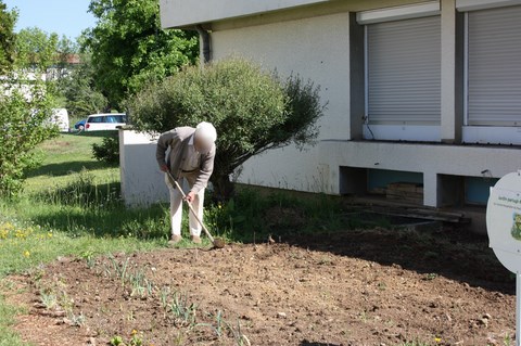 jardins 3