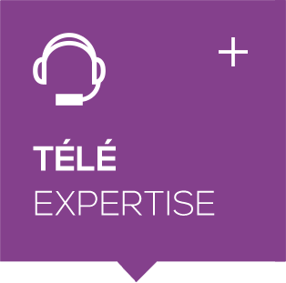 téléexpertise